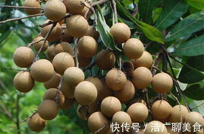 喝水|湿气不除百病生,喝水时泡一物,半月下来,散寒祛湿,手脚不冰凉