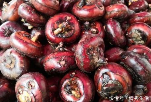 荔枝|6种水果有“寄生虫”,还能给孩子吃吗?医生建议:这些要少吃