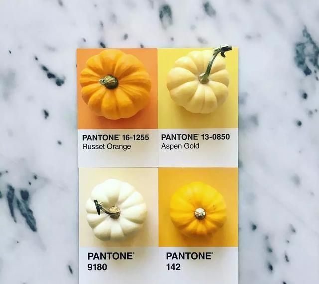  设计师|设计师是好色之徒吧不然怎么能拍出这组创意十足的食物色卡