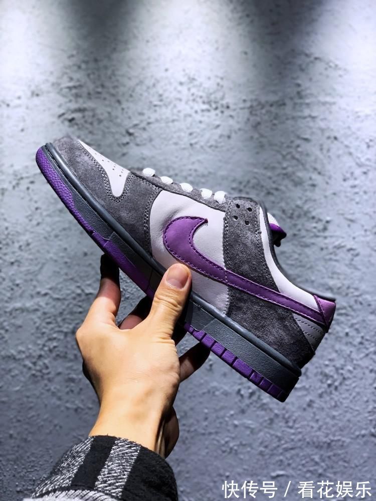 颜值爆表|黑鸽子见多了看看这款颜值爆表的紫鸽子吧!