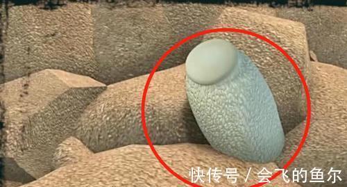 穿帮镜头|熊出没:最明显的4个穿帮镜头,看到后我都羞愧,网友:侮辱智商