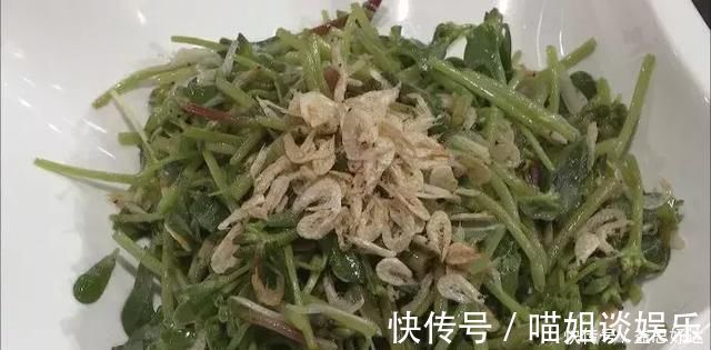 抗菌|救命的马齿苋,99的人不知道的作用再不吃就晚了