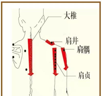  激活|富贵包=夺命包！简单4步疏通经络，气血通畅，激活全身阳气！