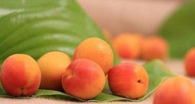 女性不想顯老，常吃3種食物，美容養(yǎng)顏，滋補身體，好處多多