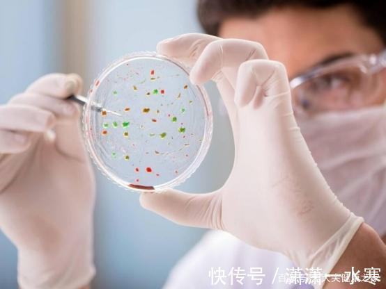 高血脂|降脂必看,得了高血脂症和动脉粥样硬化,该怎么办