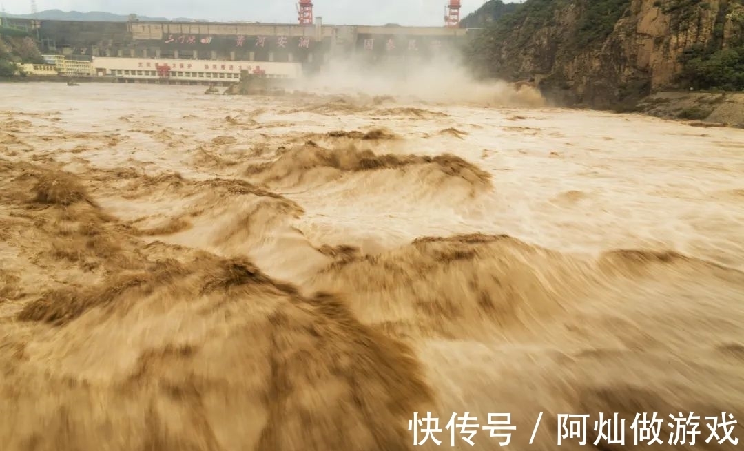 草原|甘南州保黄河草原禁牧800多万亩！牧民不放牧，还能做什么？