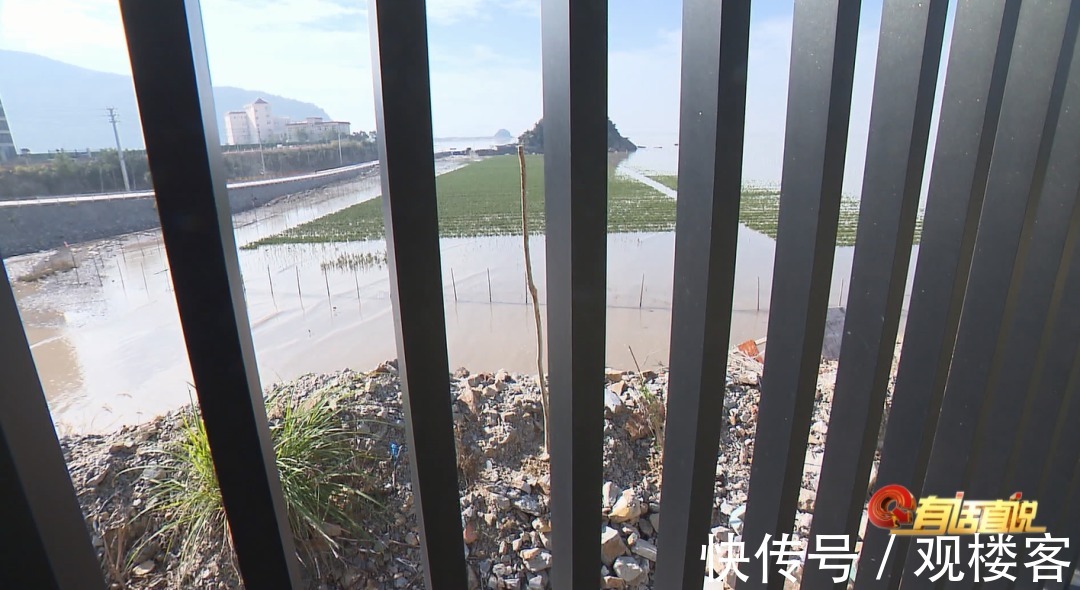 金沙滩|温州一楼盘被曝光!宣称的金沙滩,没了