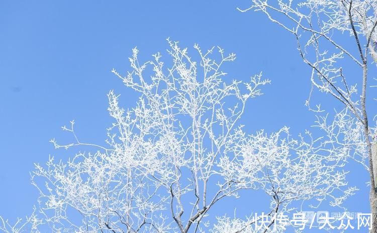 景观|济南现绝美雾凇！航拍视角俯瞰漫山雪白犹如仙境