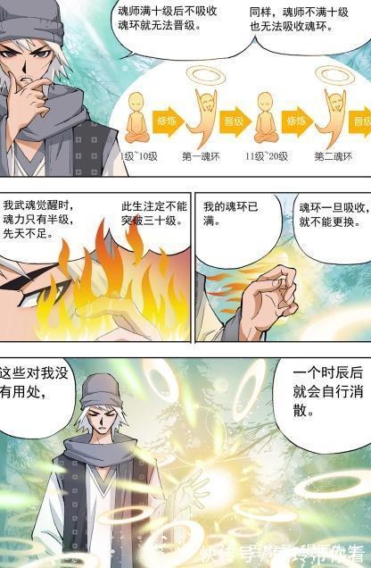 今生今世|斗罗大陆：魂兽与魂环的关系！大师的遗憾！
