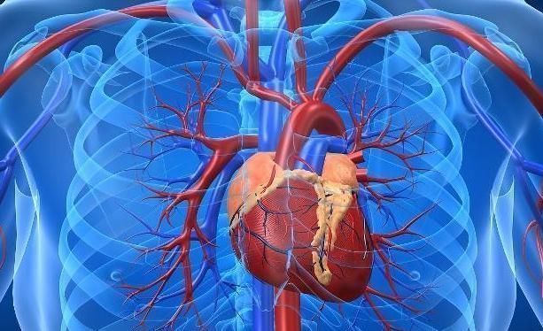 代谢|血管洗个澡，健康活到老，不妨每天“洗”1次，早知早受益