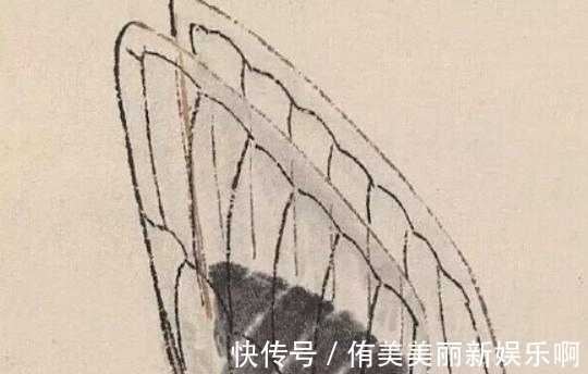 翅膀#齐白石晚年画了一只“蝉”,为何价值8亿?放大50倍就能明白