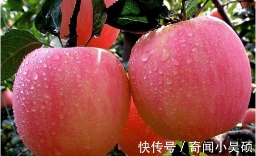 养颜|女人不想变水桶腰、大象腿,3种水果可以当饭吃,减脂又养颜!