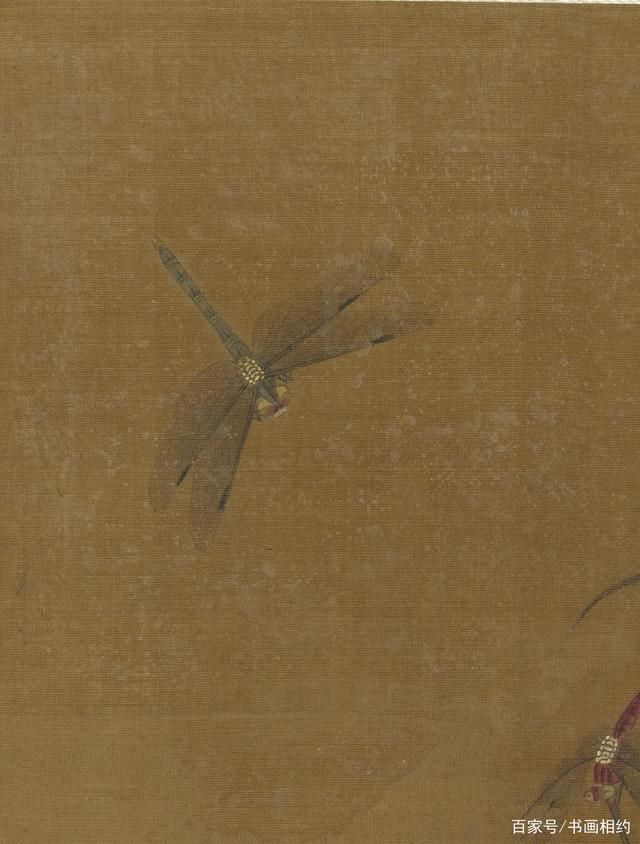 写生花卉册!赏画|王渊《写生花卉册》之鸭跖草