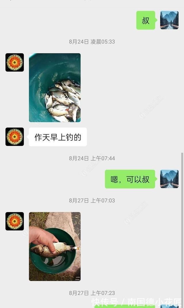 鲫鱼|向高龄钓友请教的“摇三摇”钓法，毫无保留的分享给大家