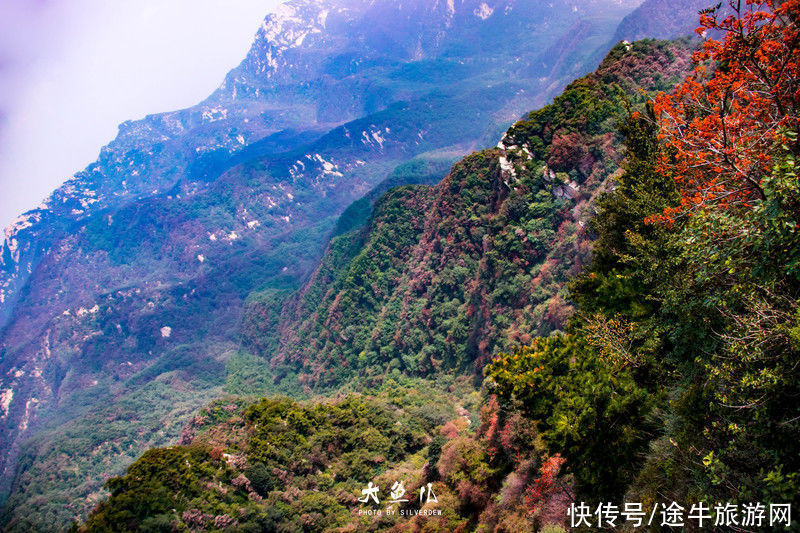 玻璃桥|落日余晖，一颦一笑染尽迷人秋色，遇见古老神秘之国—沂蒙山