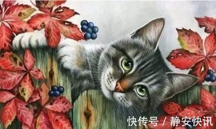 猫咪@美爆！一位美国人居然把水彩画出了国画的味道！膜拜，第一张就沦陷了