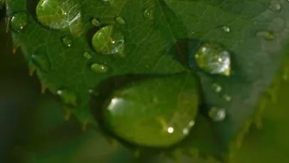 晚年#人到六十,判断晚年是否有“福气”,看这三样东西就知道了