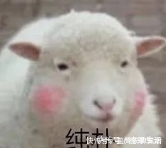 买方|这可能是全网最全面最详细的二手房交易流程,建议收藏!