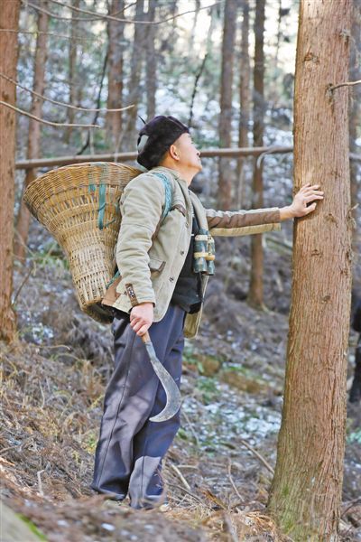 护林员@湖北十八里长峡国家级自然保护区护林员胡值朝——“这里的每一棵树我都有感情”（