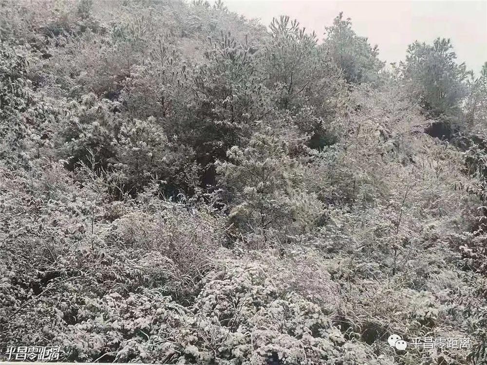 朋友圈|平昌下雪了，照片刷爆朋友圈！却带来了一个坏消息....