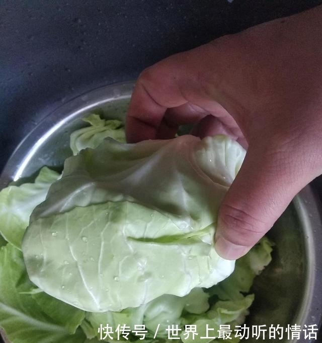 买包菜,选尖头形还是圆头形的?品质差别可挺大,别买错了