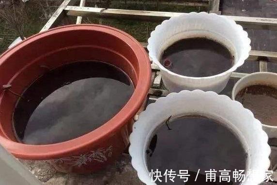 雨过天晴,拿着铲子去路边,挖点“蚯蚓土”回家晒一晒,用来养花