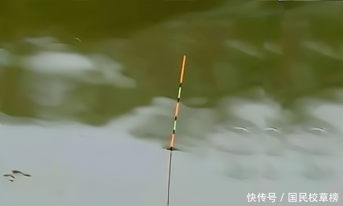 调漂|钓鱼大师:顿口是这么来的,下次知道该怎么调漂了吧