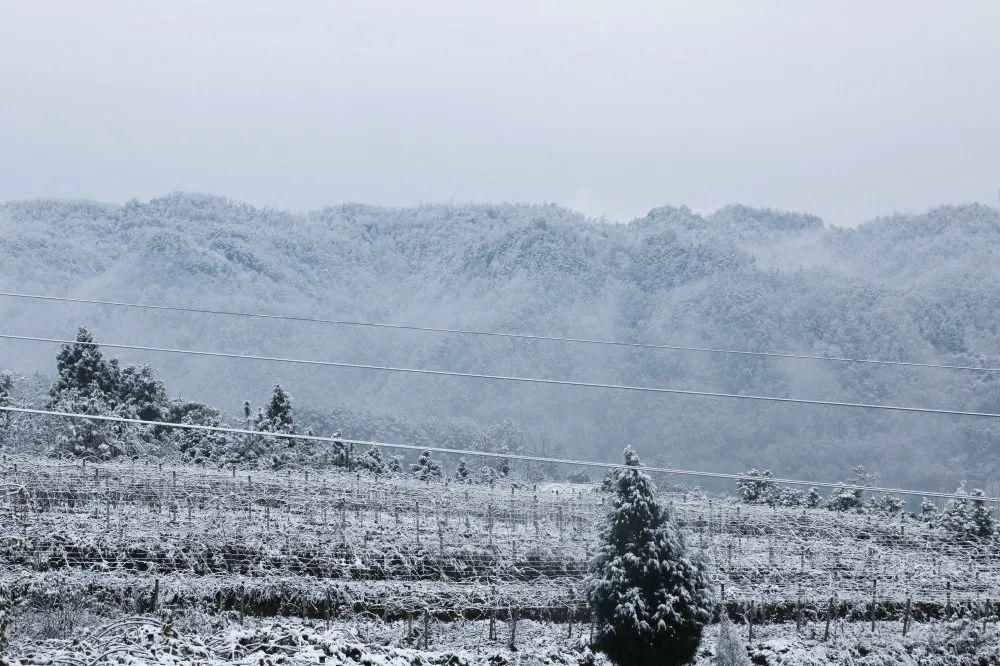 秘密|这个秘密只告诉你，刷爆朋友圈的广元雪景，都在这里了！