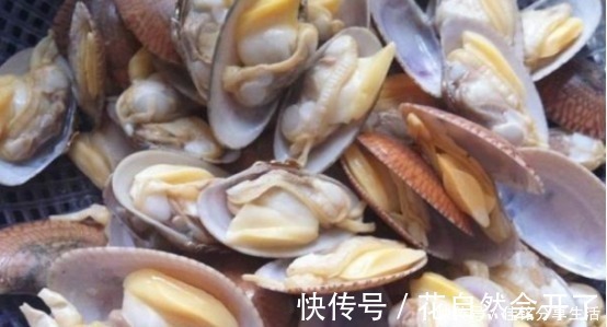 米醋|洗花蛤万万不可只加盐，渔民教你土方法，花蛤疯狂吐沙，很实用
