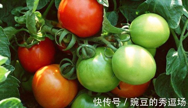 肝病患者|豆腐是肝病“发物”?医生提醒:不想肝报废,“4素”趁早撤下桌