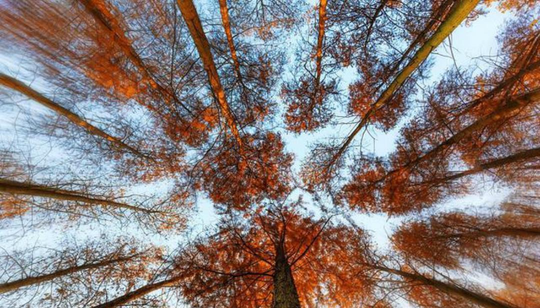 清代诗人赵翼一首唯美的诗,开篇两句很平淡,最后两句美得惊艳