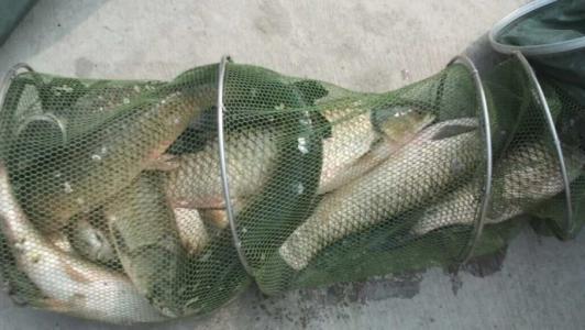 夜钓最好的机会来了!18条经验助你成功爆护!