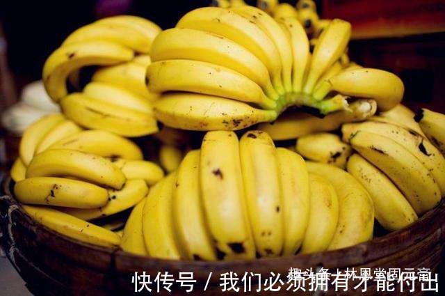 丁酸盐|女性不想子宫早衰,每天吃2根,保护卵巢,子宫越来越干净显年轻