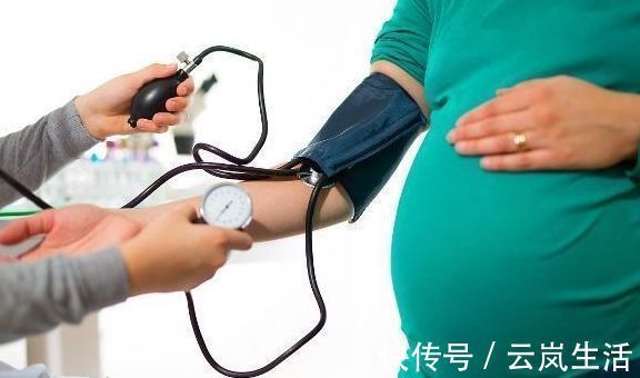 槐花|高血压的对手找到了，父母每天喝一杯，血压或许悄悄降下来