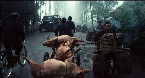 书摊&80年代老照片,最让人怀念的年代,没有手机、网络,人们依然开心