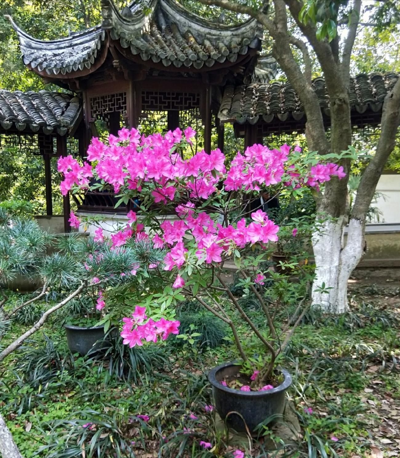 溪流|七溪流水皆通海，十里青山半入城——常熟虞山