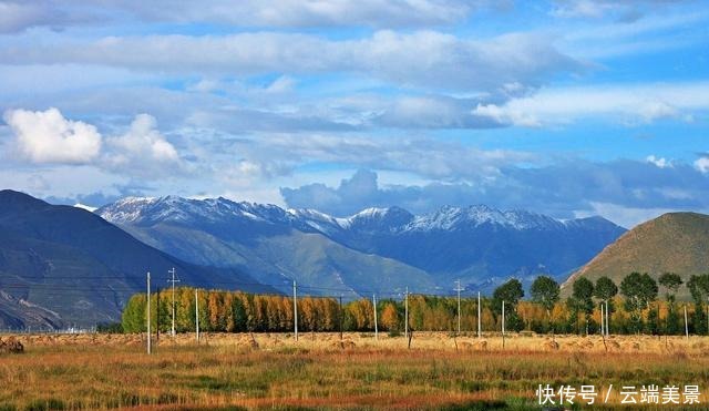 《伏天氏》叶伏天假死,花解语觉醒,书友关心夏青鸢
