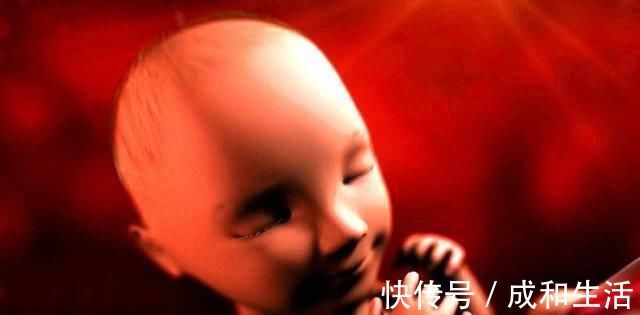 胎儿|孕期吃这4种“大鱼大肉”，营养基本都会到胎儿身上，你吃对了吗