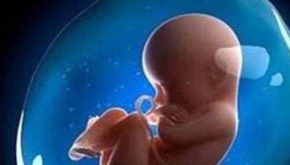 胎儿|4个时间段多喝水，羊水指数会很稳定，孕妈早知道，胎儿早受益