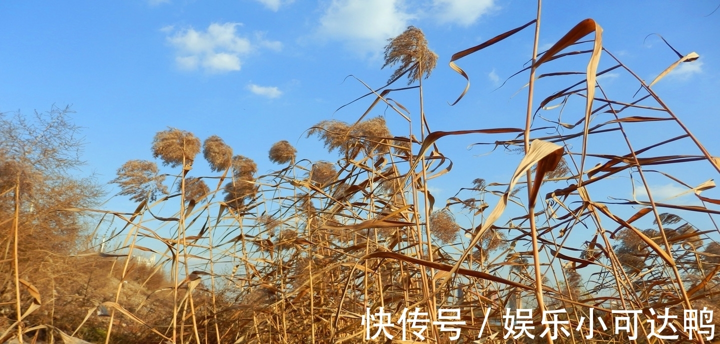 断云!诗词/七律《无题》