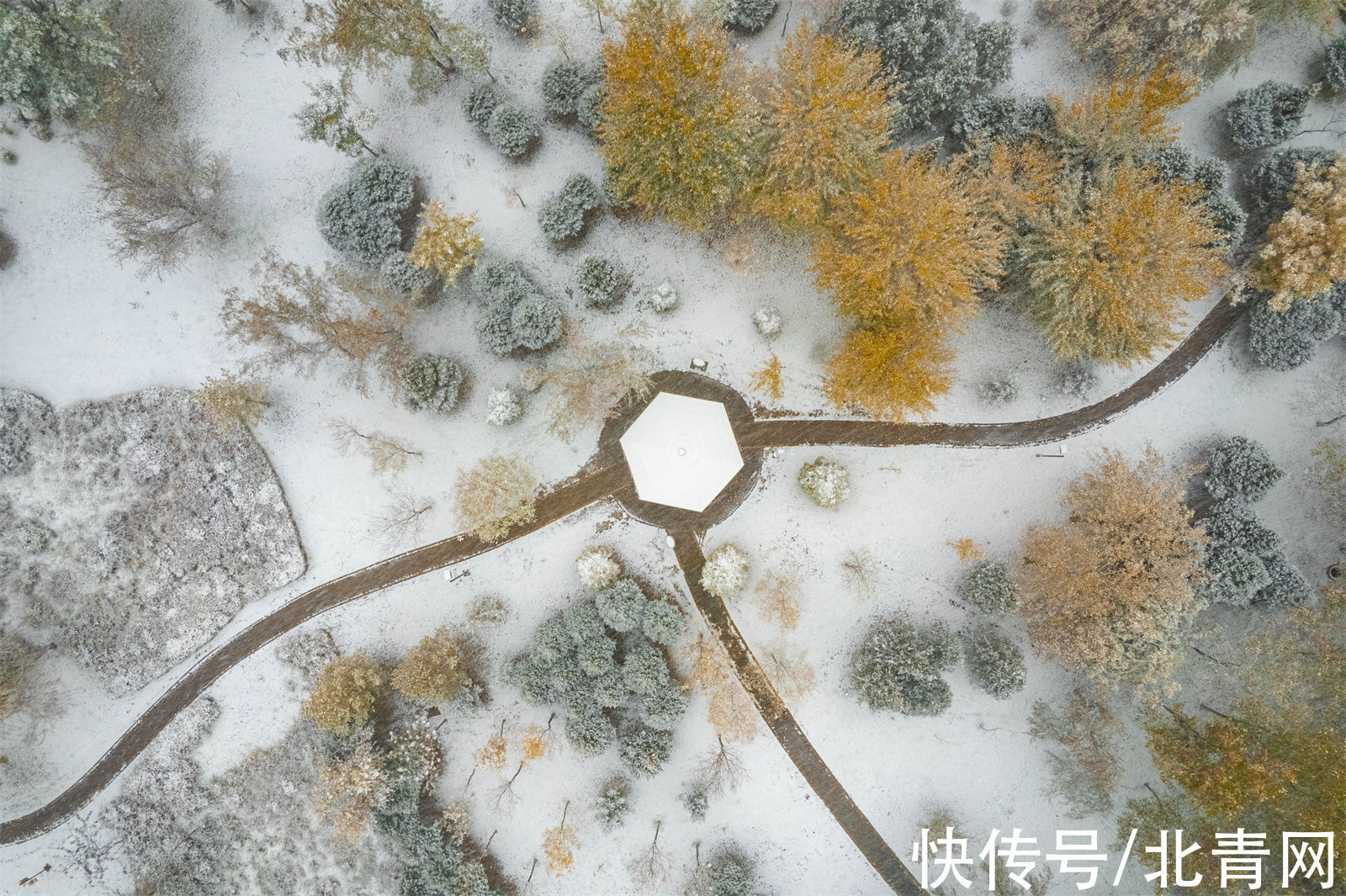 大雪|银川大雪纷飞！在2021年秋天的最后一天