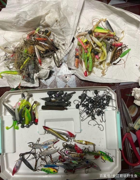 小知识|珠江水浅，有人钓起一大堆“假鱼”，价值千元