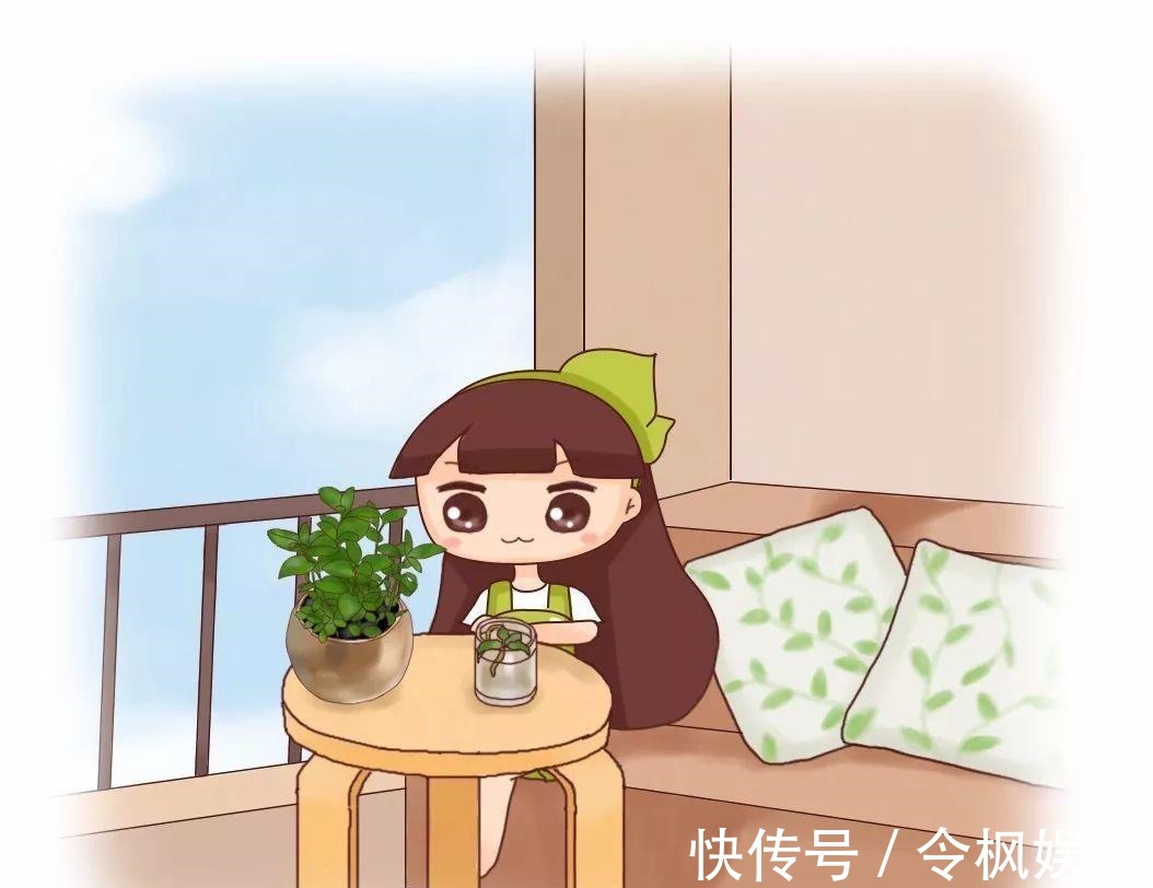 老中医最爱的8种花,一盆堪比小药箱,摘片叶子就能泡水喝!