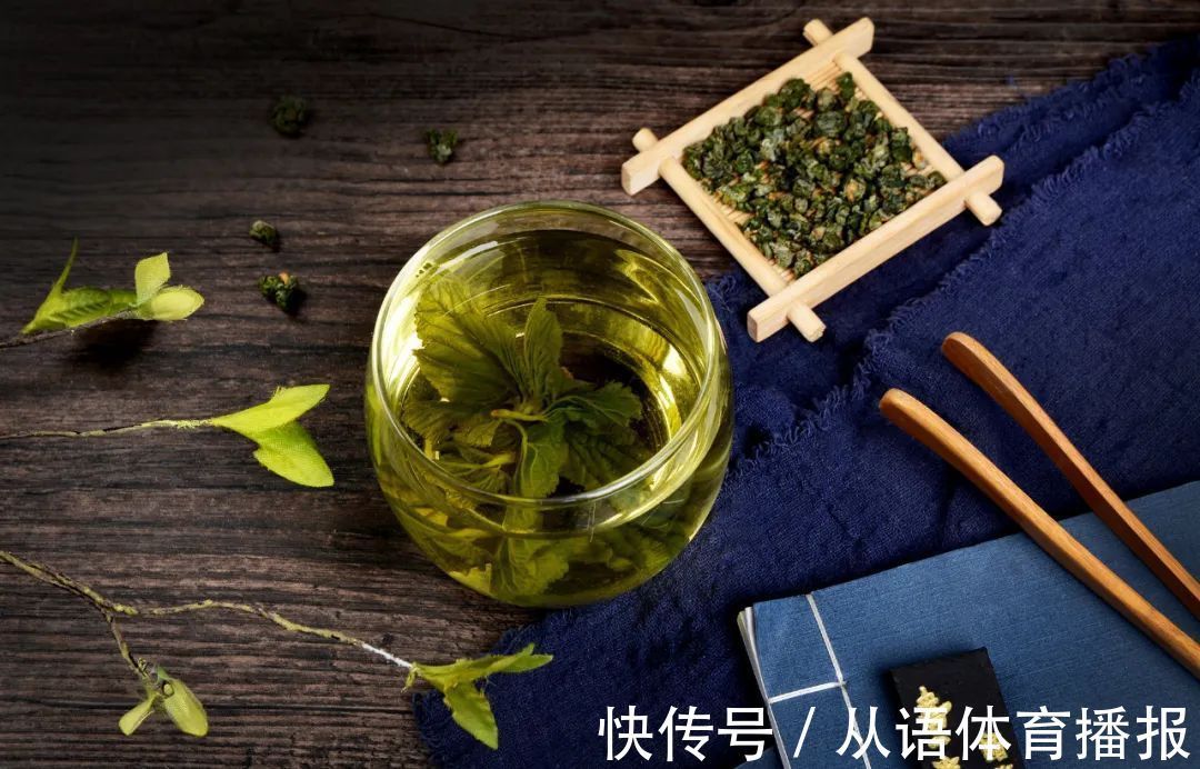 神农本草经|桑叶是个宝,霜打的桑叶为神仙草!如何吃,功效最佳?