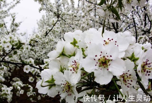 独自一人#杜牧被贬的一首诗,借酒消愁,读完悲从中来心碎不已,结尾更经典