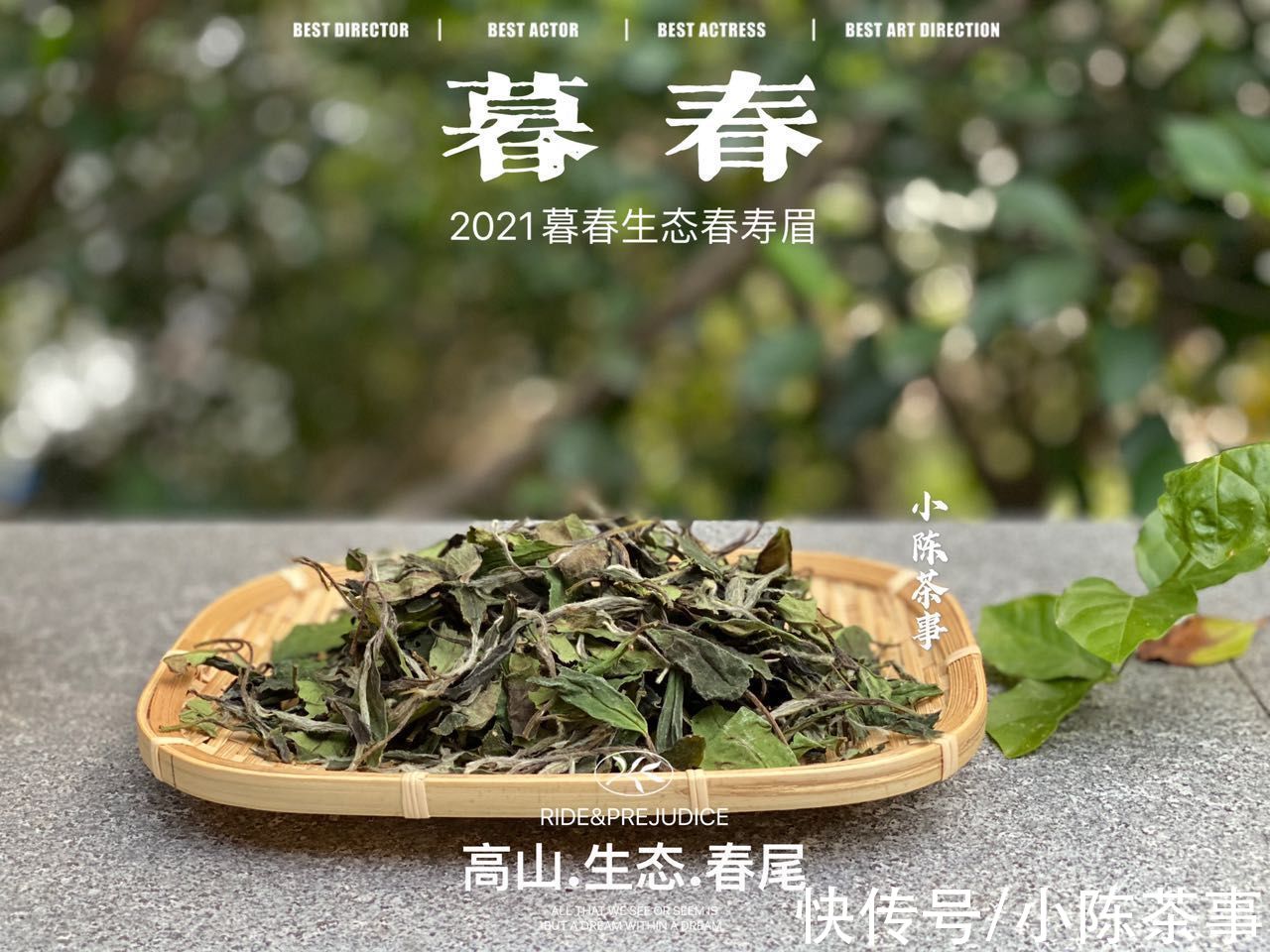 香气|这3个白茶香气的“名言”，有一个算一个，都是大坑，谁信谁上当