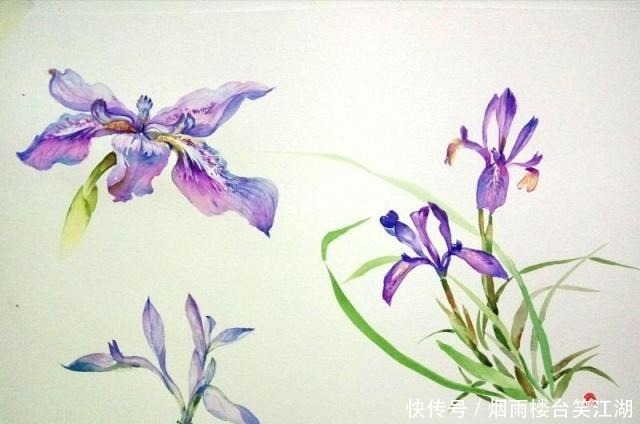 花语|魔道祖师一人一株花,薛洋的花语悲惨,看到江氏夫妇的花语哭了