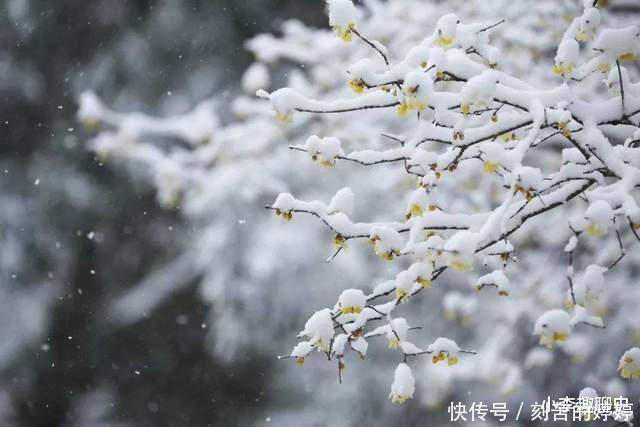 张玉娘&江南才女被人诬陷,凭借一首词为自己洗冤,次日便获得自由