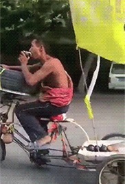 |搞笑GIF：本以为可以瞒天过海 结果还是被发现了