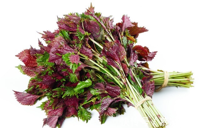 吃法|68种野菜图片，教你认识不同的野菜和吃法，你想要的野菜这里都有